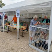 lerchenberg culture inauguration fête portes ouvertes associations