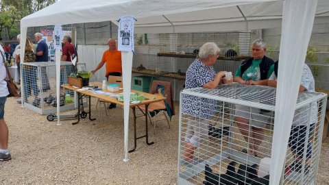 lerchenberg culture inauguration fête portes ouvertes associations